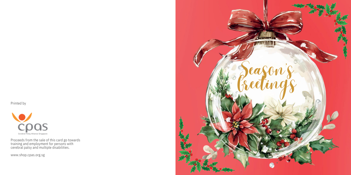 SG07-Festive Bauble - Image 3